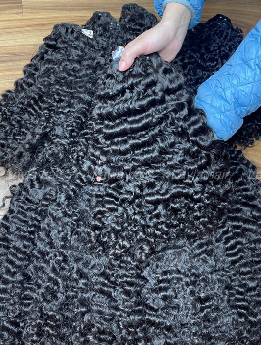 Burmese Curly Royale