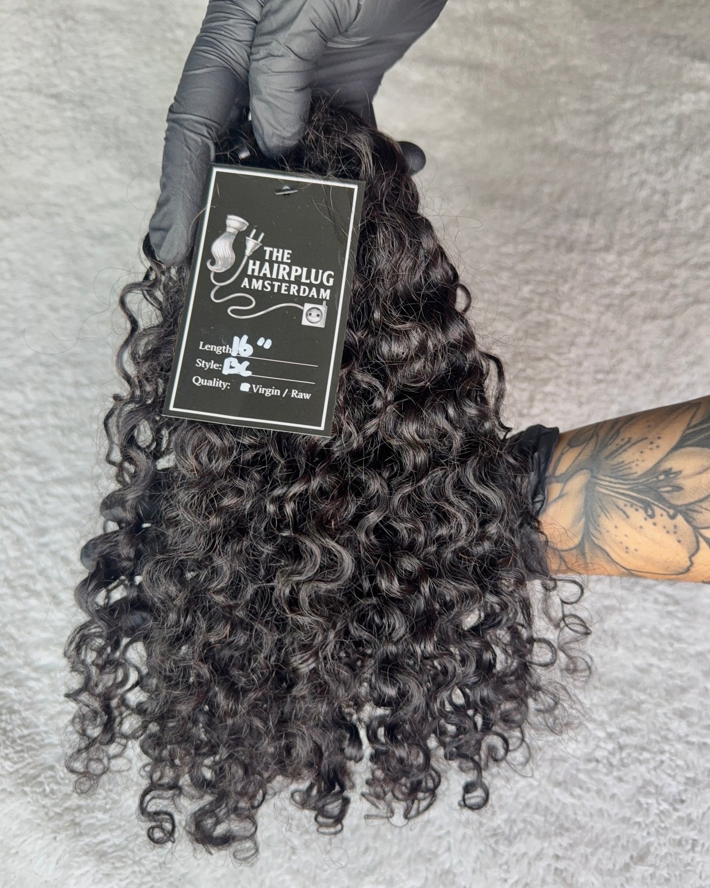 Burmese Curly Royale