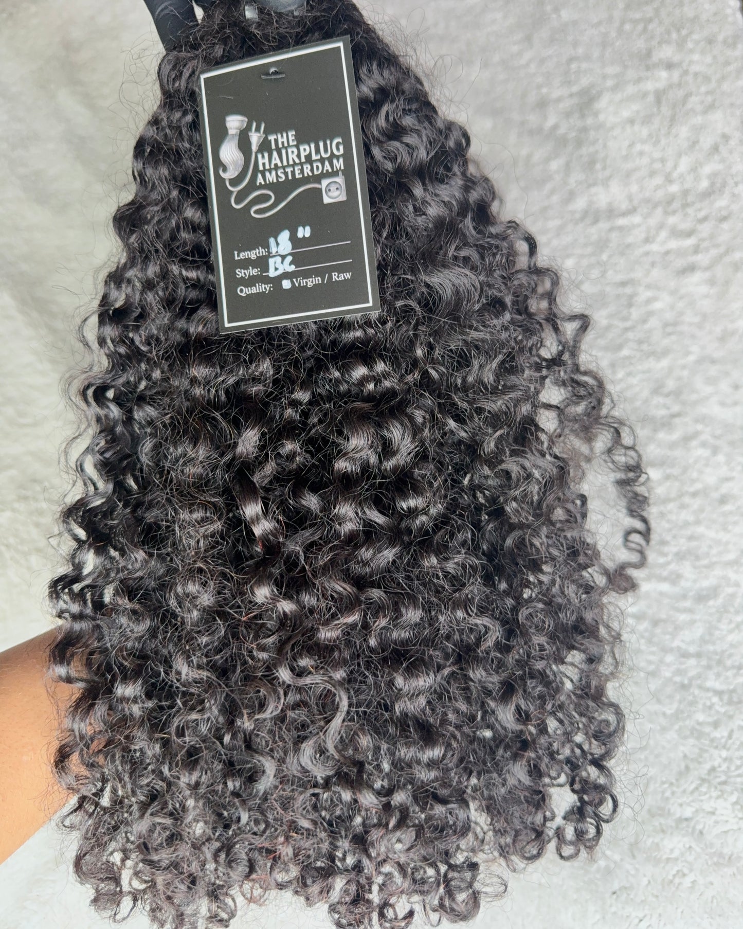 Burmese Curly Royale